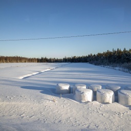 finnland rundreise 2025_56